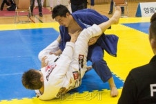 추위 녹인 주짓수 열기…13회 대구주짓수대회