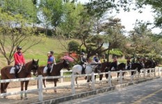 한국마사회, 승마지도사 양성과정 교육생 모집