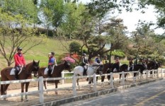 한국마사회, 승마지도사 양성과정 교육생 모집