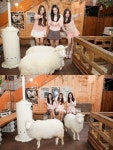 [이슈인터뷰]양띠 모여라…아영-지율-우희, 달샤벳으로 뭉친 우리