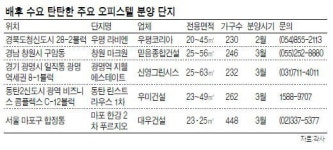 안정적 임대 오피스텔 5선
