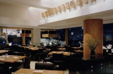 벚꽃과 함께하는 이색 라운지 파티