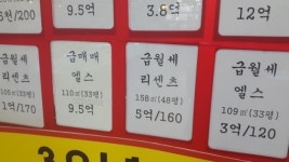 서울 오늘부터 반값 부동산중개료…중개업소 아직은 차분, 그러나?
