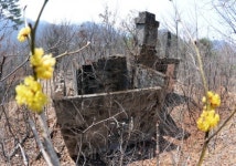 [포토 에세이]평화와 생명의 물길, 파로호