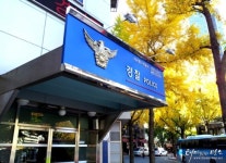 만취 운전자 신호대기 중 잠들어…알고보니 경찰관
