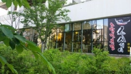 도심 속 자연에서 맛 보는 초밥, 연신내맛집 스시웨이 은평점