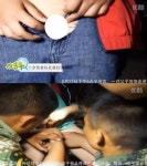 10세 소년 “바지 지퍼 올리다 성기가…” 화들짝