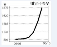 태양금속 우선주 6거래일만에 100% 폭등…가격제한폭 확대 수혜 ‘톡톡’