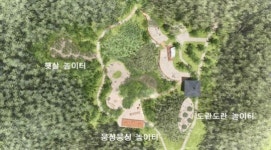 서울 동작구 서달산에 유아숲 체험장 생긴다