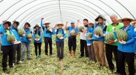 가스안전公,“충북 맹동”에서 농촌봉사활동 전개