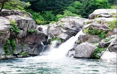 무더위를 한 방에 날리자, 올해는 시원한 가평 용추계곡으로