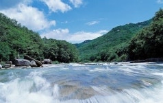 올 여름은 시원한 화양계곡으로 가자 구름속소나무펜션