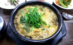 삼계탕? 추어탕?…초복인 오늘 점심 뭐 먹지?