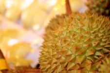 [리얼푸드]휴가지에서 생긴 일…새콤달콤 열대과일의 유혹