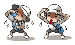 폭염 절정…전국 대부분 지역 폭염특보