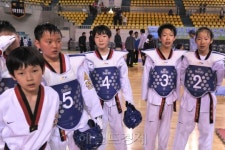 태권도 교과과목 채택 위한 시범학교 육성