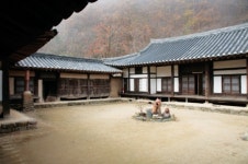 고택 안마당에…오메, 단풍 들었네