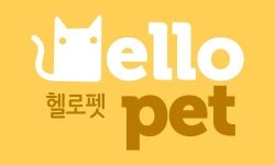 케이큐브벤처스, 소셜펫 서비스 ‘애플파이스튜디오’에 3억원 투자