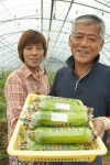 ‘로컬푸드 온실보급 사업’ 소규모 농업인 날개 단다···충남도, 올해 6억 2500만 원 투입 도내 48개 농가 혜택 받아