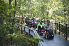 단풍 가득한 관악산…무장애 숲길서함께 걸어요