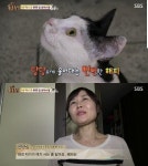 ‘동물농장’ 스토커 길냥이 해피, 새가족 찾은 감동 사연