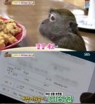 ‘동물농장’ 측 , ‘삼순이’ 거센 항의에 “개인사육 불가” 공식입장 (전문)