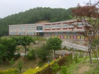 광주시 동현학교 나눔숲 조성사업 완료
