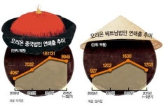 中·베트남 입맛잡은 오리온 비결은?