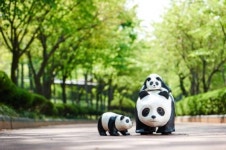 헤럴드, WWF-Korea 후원 본격 스타트…홍정욱 회장 “WWF 헌신에 경의, 적극 지원하겠다”