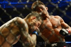 추성훈 은퇴기로…UFC 계약은 잔존, 최종선택은?
