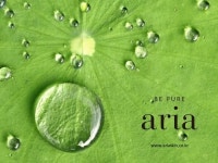 제이비컴퍼니(주), 국내 최초 클렌징 전문 브랜드 ‘아리아(aria)’ 론칭