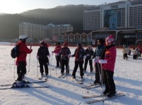 비발디의 파격…03시 셔틀, 무료강습, 외국인엔 관광체험까지