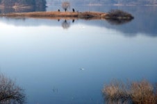 아팠던 제주, 성산 올레길 트였다…2월을 거닐 길