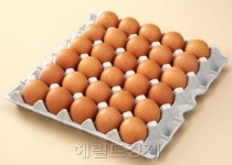 달걀의 누명(?)..."성인병 낮추는 완성식품" 연구결과 나와