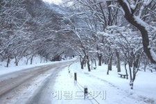 설 연휴, 내장산 설경을 가족과 함께…국립공원 나들이 명소 8곳