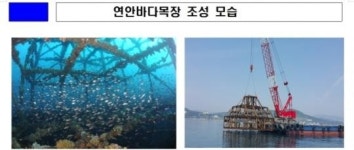 충남 보령 삽시도 등 4개지역에 바다목장 신규 조성된다…총 190억원 투입