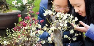 [포토 에세이 - 서울 양재동·고양 화훼공판장은 지금…] 빨주노초파남보…아우성 치는 봄봄봄…