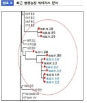 농식품부, 구제역 증상 신고 안한 충남 농장주 고발 조치