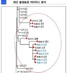 충남 논산 돼지농장서 추가 구제역 의심 신고