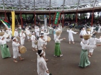 4월의 축제, 렛츠런파크 부산경남 ‘일루미아’, ‘미리보는 광안리 어방축제’ 관심