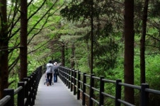 휠체어로 가는 등산, 올레길…4월 걷는 길엔 장애인도 거침이 없다
