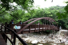 휠체어로 가는 등산, 올레길…4월 걷는 길엔 장애인도 거침이 없다