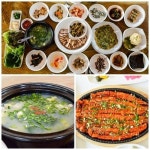 청와대에 들어갔던 하동 섬진강 재첩 전문점 연안