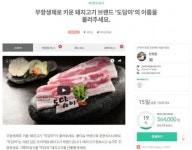 프리미엄 돼지고기 브랜드 ‘도담이’, 축산물 관련 최초 크라우드 펀딩 시작