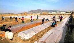 올해 북한 식량 70만t부족 전망.. 4년만에 최대