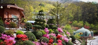 ‘황금연휴’ 무료 개방 국립자연휴양림, 어디에 있나?
