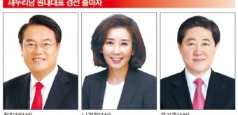[與원내대표경선 쟁점②총선참패]鄭 “朴중간평가” 羅 “계파패권” 兪 “공천파동”
