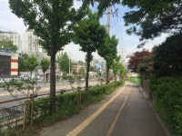 구리시 경춘로 띠녹지조성…미관ㆍ환경 ‘일거양득’효과