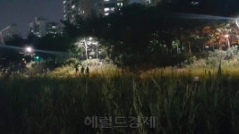 [‘안전’, 어디 갔나요 ①] 하천변 산책로 ‘너마저’…알고보니 CCTV 사각지대