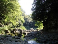 소백산 산나물 캐러 간 중년 여성 숨진 채 발견